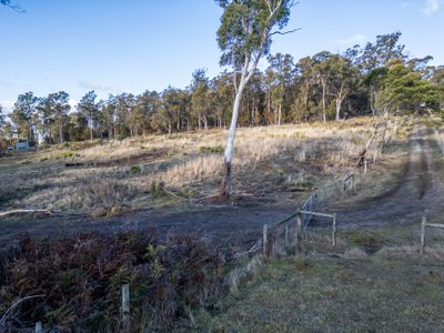 Lot 3, 101 Bridgenorth Road, Legana