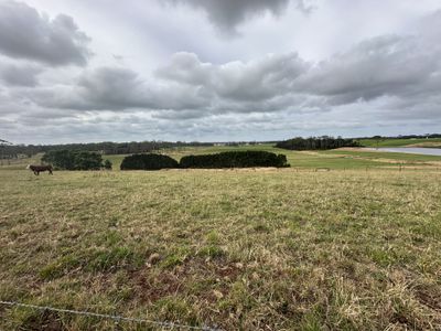 77 Brooks Road, Forest