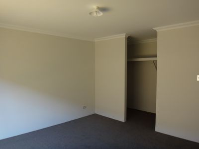 37 Teasel Way, Banksia Grove