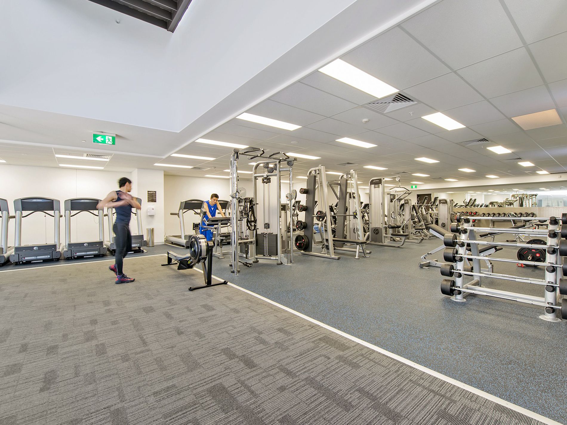 2 Chippendale  Way, Chippendale