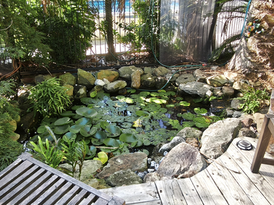 Room 1 / 77 Jervis Street, Nowra