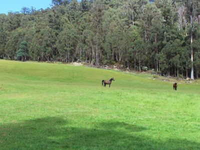 1 End Of Barretts Road, Upper Woodstock