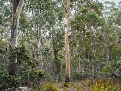 'Hardings Bay Retreat', Lake Leake Road, Lake Leake