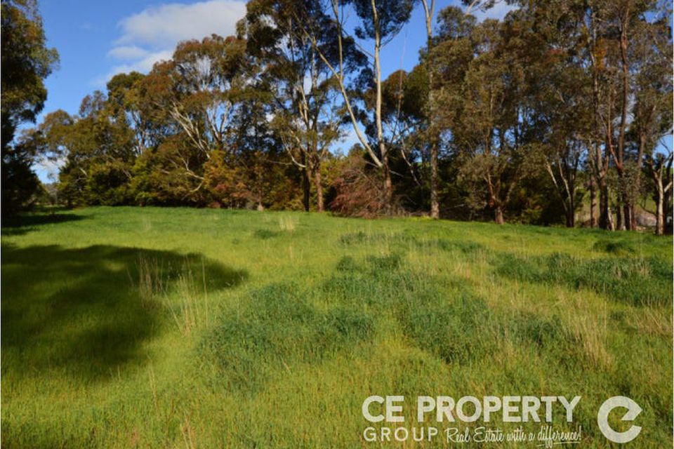 38 Hollands Creek Road, Cudlee Creek