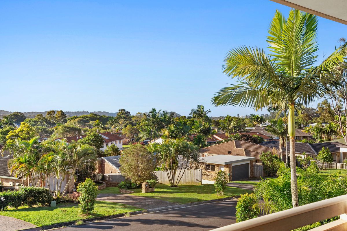 20 Zinnea Street, Elanora