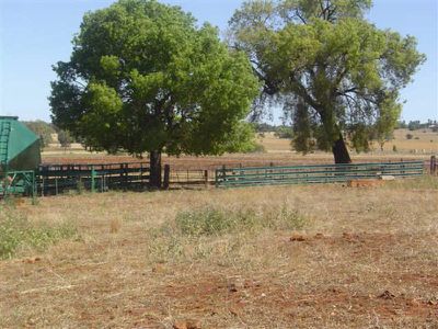 16L Kurrajong Drive, Dubbo
