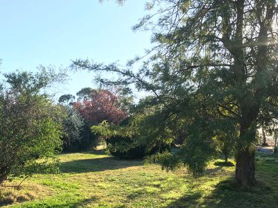 Balpool Road, Moulamein