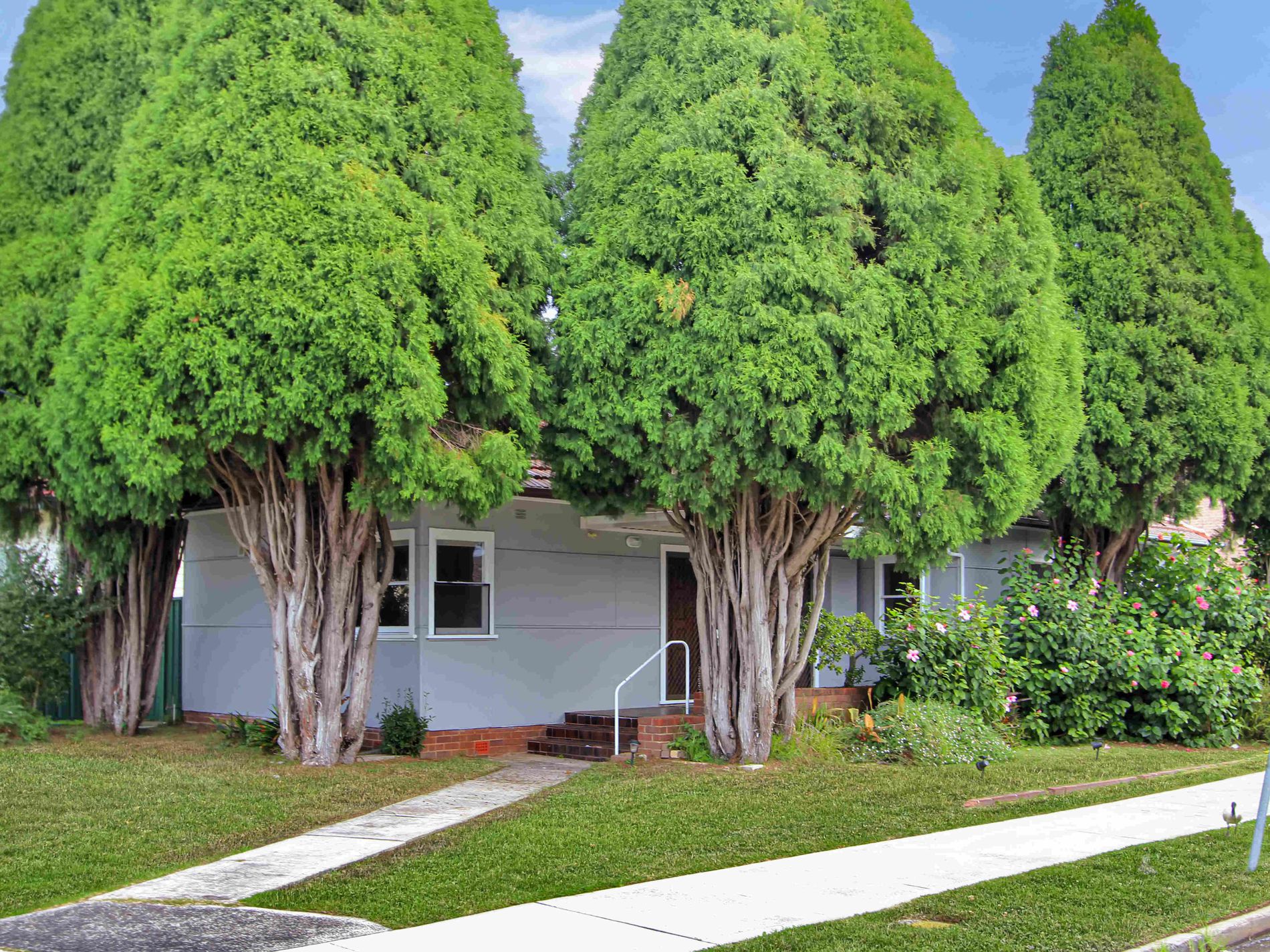9 Nettleton Avenue, Riverwood