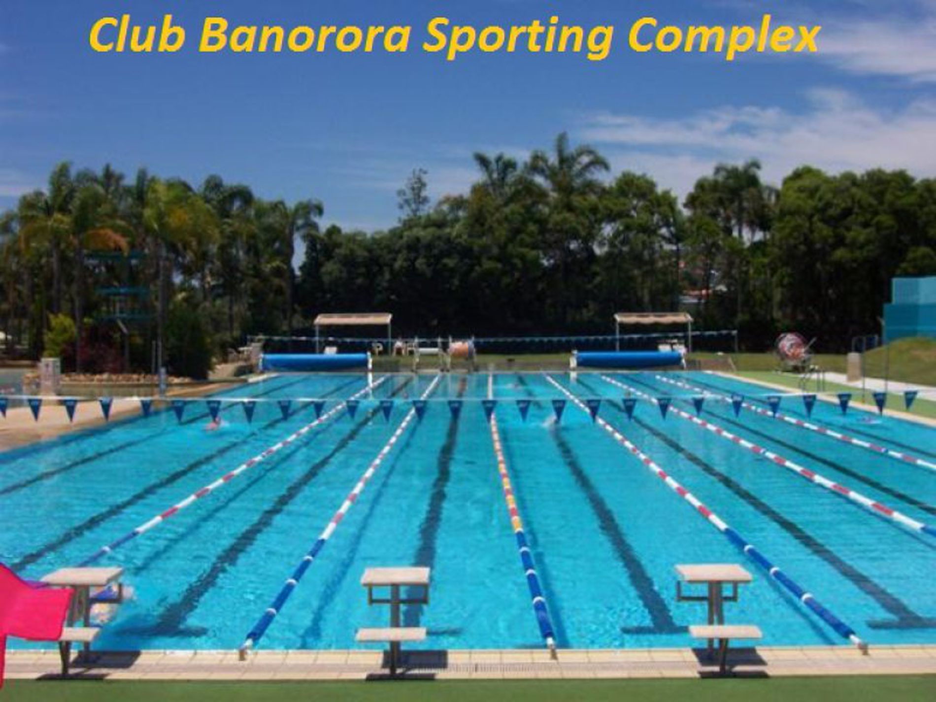 14 Nandina Terrace, Banora Point