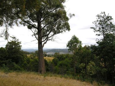 Office CL / Lot 1 Arks Road, Cradoc