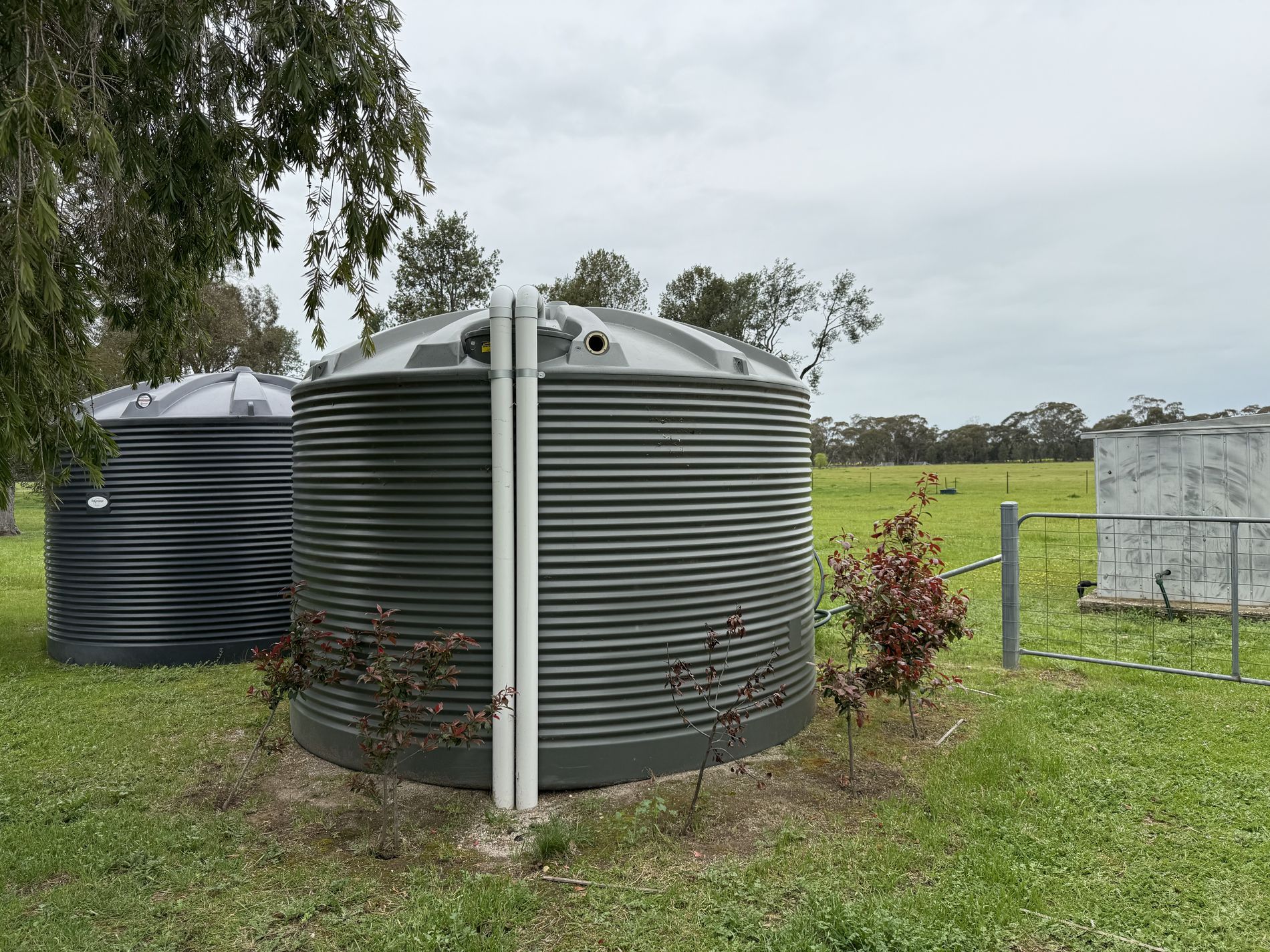 'Burnside' 1009 Howlong-Balldale Road, Balldale