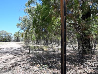 Lot 7, - Emmaville Rd, Emmaville