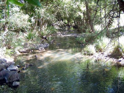 Conondale
