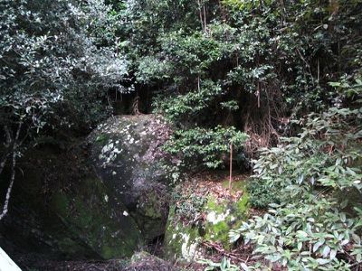 120 Parrish's Rd, Kangaroo Valley