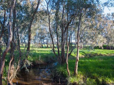 344 Rileys Road, Barnawartha