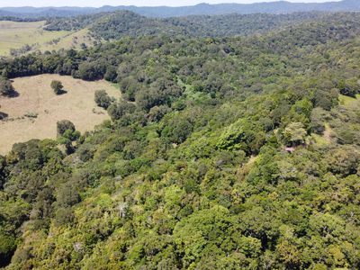 794 Seamark Road, Malanda