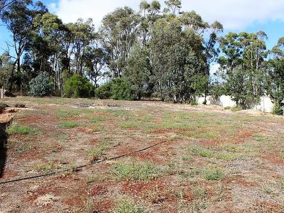 6A Eleanor Drive, Campbells Creek