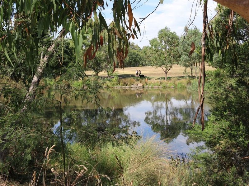 Spring Creek - In Planning...