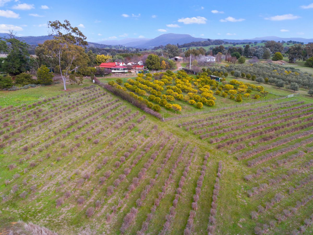 2520 Samaria Road, Moorngag