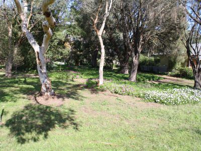 169 Williams Road, Millicent