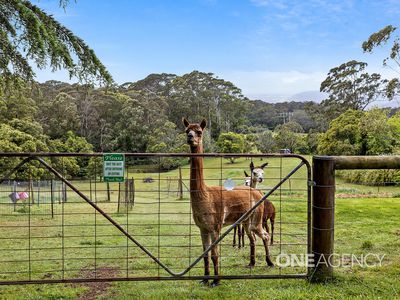 72 McGuinness Drive, Mount Murray