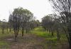 Lot 18493 Tutanning Road, East Pingelly
