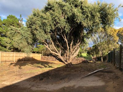 132 Cape Schanck Road, Cape Schanck