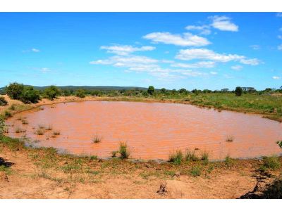 8299 Oxley Highway, Gunnedah