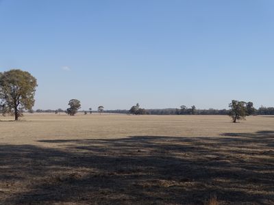 351 Tattersalls Lane, Moormbool West