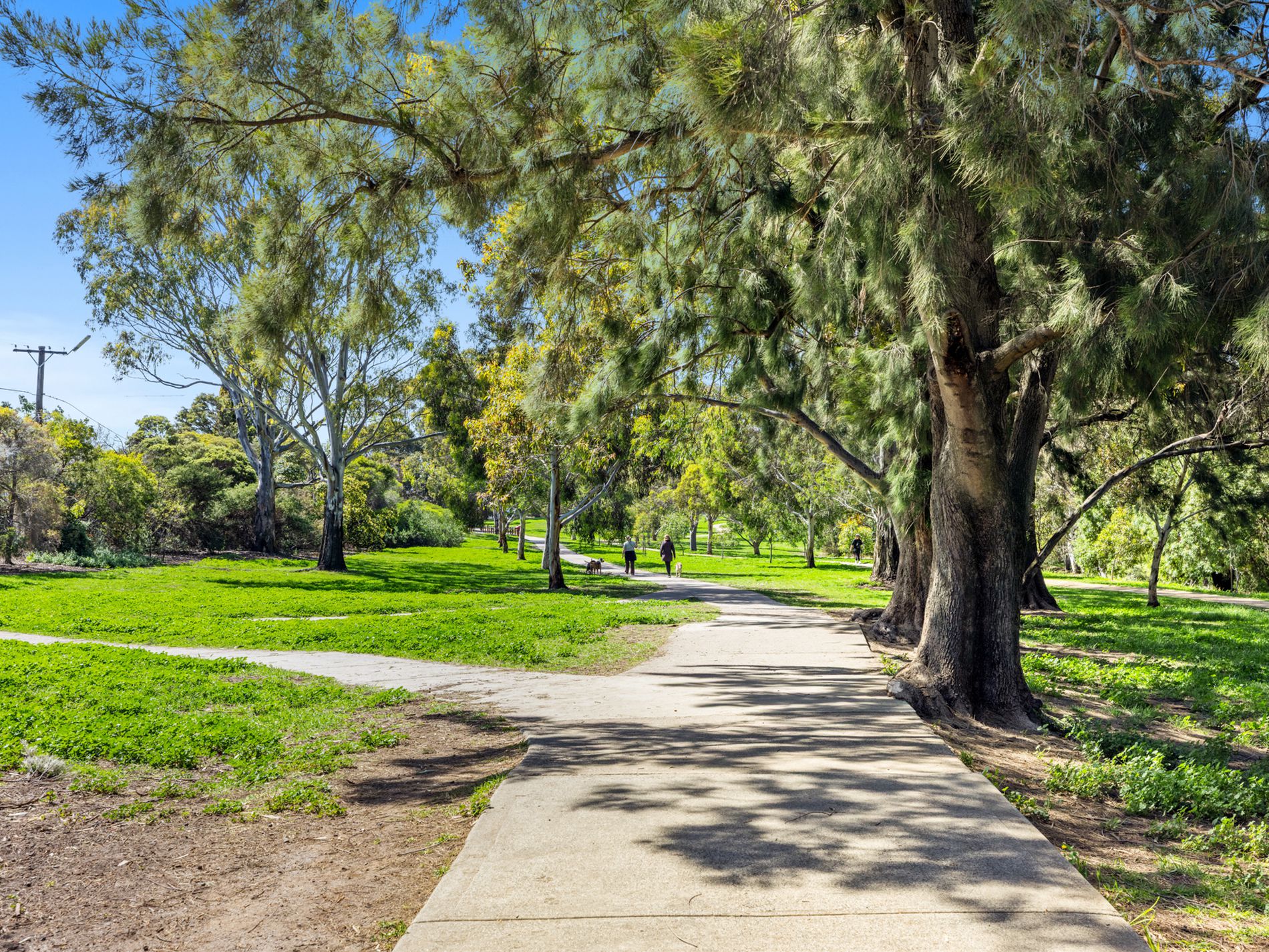 16 / 5 Lewis Street, Kingsville