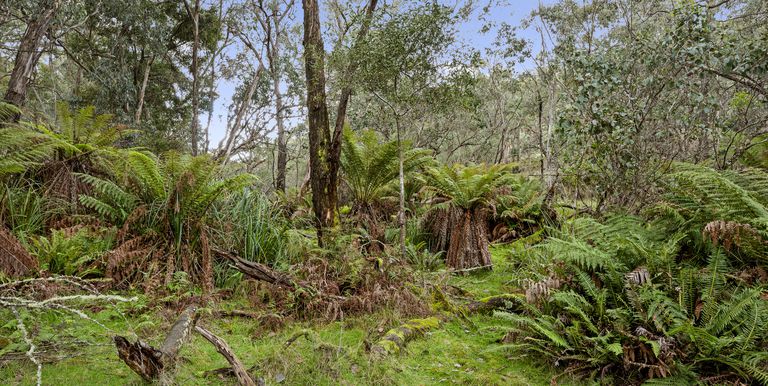 Lot 1 & 2 McCombes Road, Creek Junction