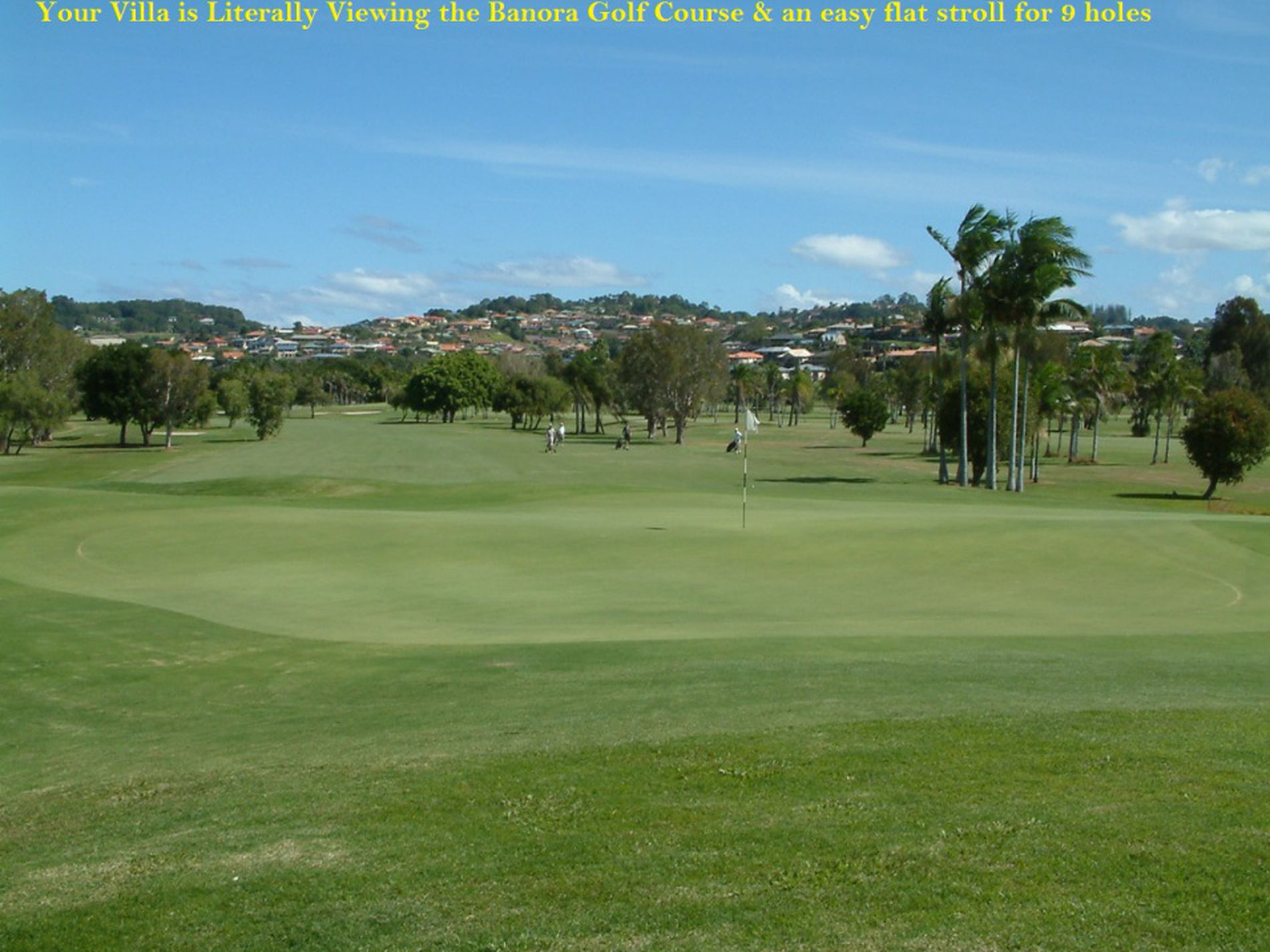 16 Glen Ayr Drive, Banora Point