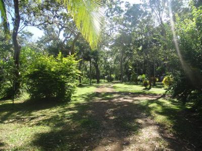 Poison Creek Road, Cooktown