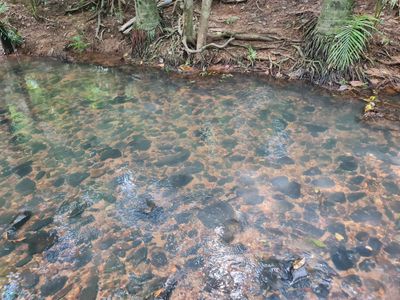 Lot 21, Old Dairy Road, Cooktown