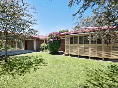 10 Wilpowell Street, Oxley