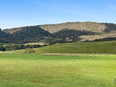 283 Grahams Road, Lancefield