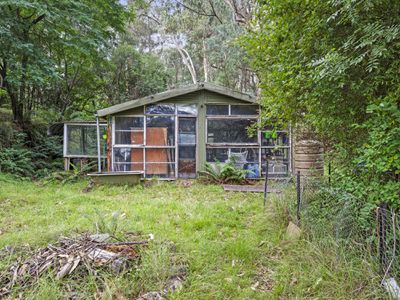 62 Shane Lane, Tolmie