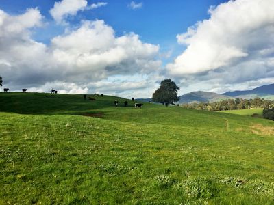 Lot 28 Back Creek Road, Yackandandah