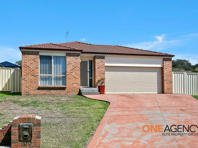 100 Daintree Drive, Albion Park