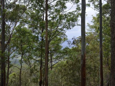 L179 Kilcoy Lane, Conondale