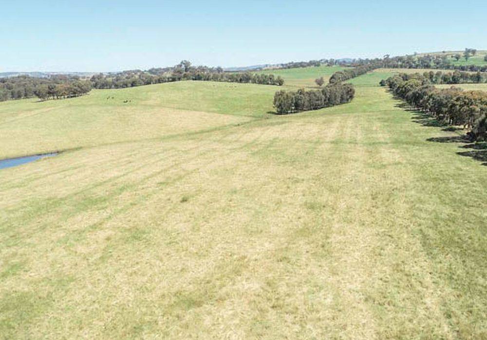 Lot 101 Strathmore Lane, Molong