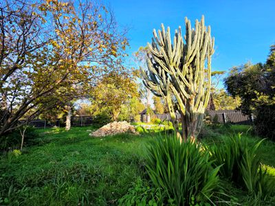 174 Main South Road, Yankalilla