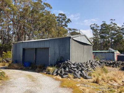 100 Cockle Creek Road, Recherche