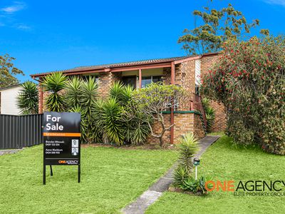 41 CLEMATIS CRESCENT, Barrack Heights