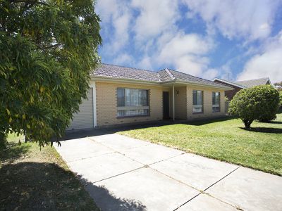 228 Trimmer Parade, Grange