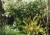 28 Maple Avenue, Orange