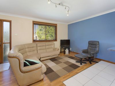 1 / 2 Ringtail Circuit, Blackbutt