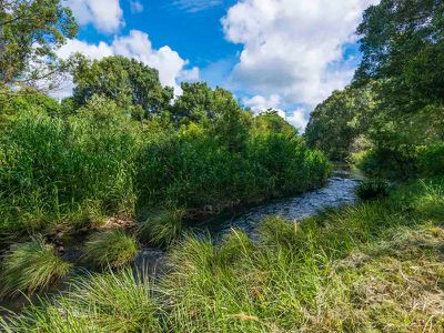 401 Terania Creek Road, The Channon