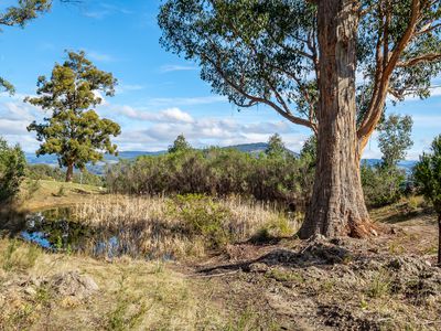 52 Snowy View Heights, Huonville