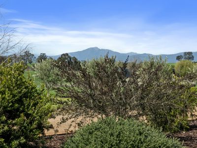 255 Mt Battery Road, Mansfield